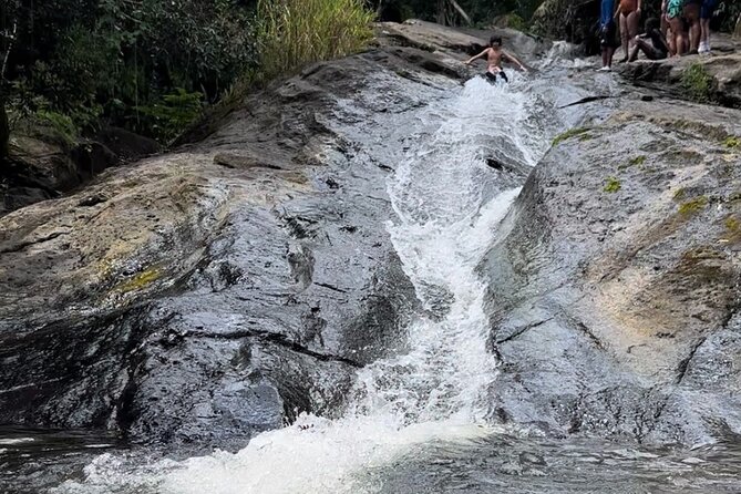 Rainforest Adventure All inclusive Food and Fotos - Who will enjoy this most?
