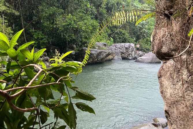 Rainforest Adventure All inclusive Food and Fotos - Should you book this Luquillo rainforest tour?