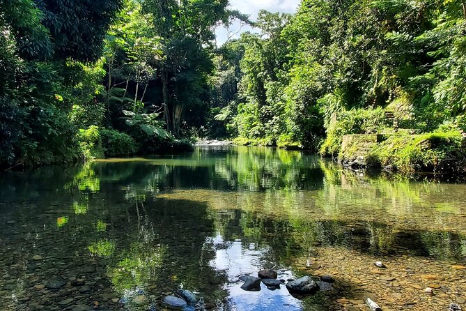 Rainforest and Junglequi Zipline Combo Tour - Nine Ziplines Above Puerto Rico’s Rainforest