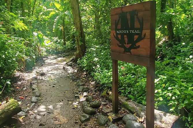 Rainforest and Junglequi Zipline Combo Tour - Who Will Get the Most From This Day?