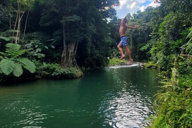 Rainforest and Junglequi Zipline Combo Tour - Timing, Pickup, and What to Plan