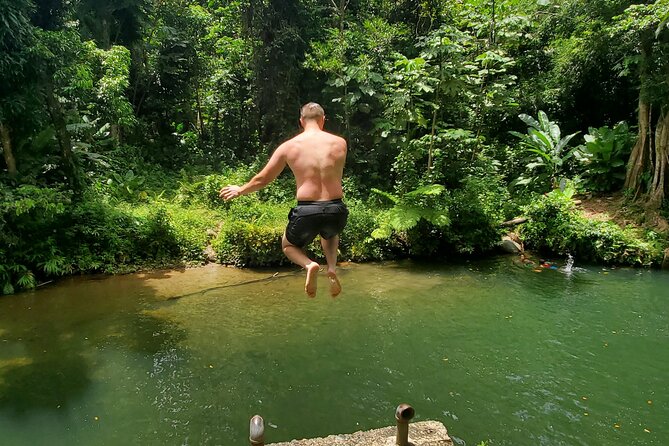 Rainforest and Junglequi Zipline Combo Tour - What the Four-Hour Park Visit Feels Like