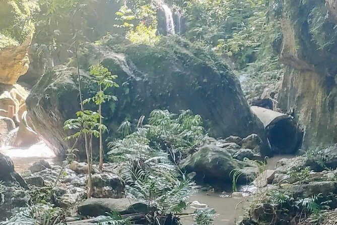 Rainforest Caves and Waterfalls Exploration with Transportation - Is $110 a fair price?