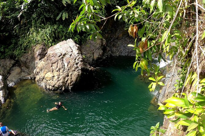 Rainforest Nature Walk & Luquillo Beach Combo - Key things to know before you book