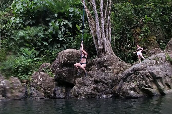 Rainforest River Hike and Waterfalls Adventure - Is $80 a fair price?