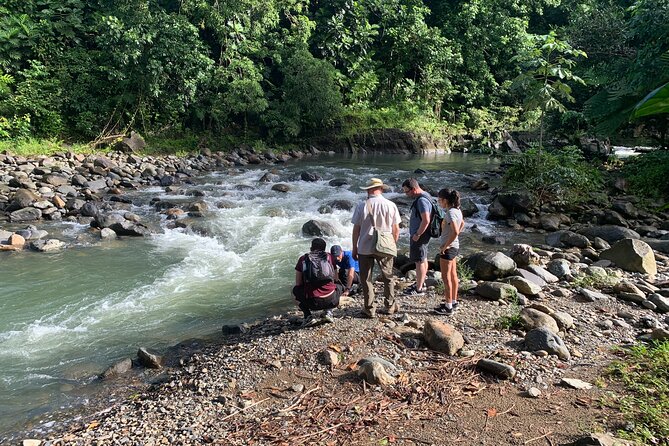 Rainforest River Nature Walk Adventure and Luquillo Beach - La Coca Falls: a quick stop with a big payoff