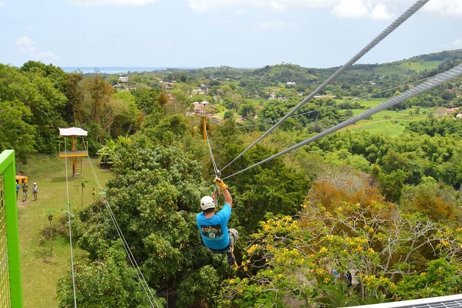 Rainforest Zipline in Foothills of the National Rainforest - Key points to know before you book