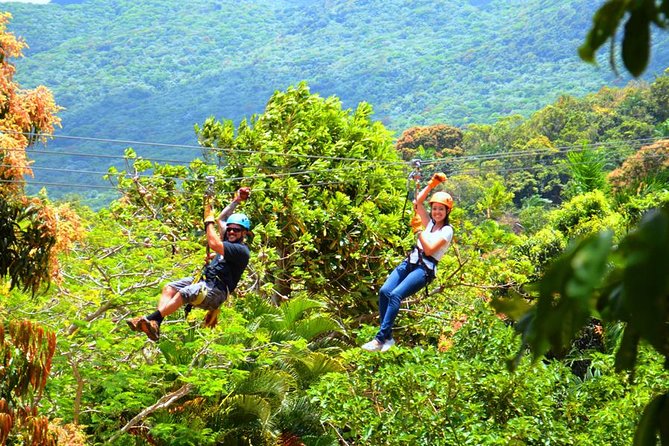 Rainforest Zipline in Foothills of the National Rainforest - The middle of the course, forest views and a short hike