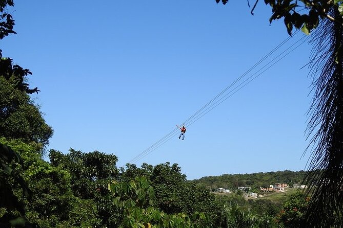 Rainforest Zipline in Foothills of the National Rainforest - Who should book this rainforest zipline?