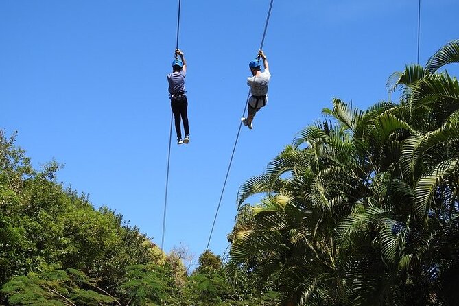 Rainforest Zipline in Foothills of the National Rainforest - Is $111.80 a fair price?