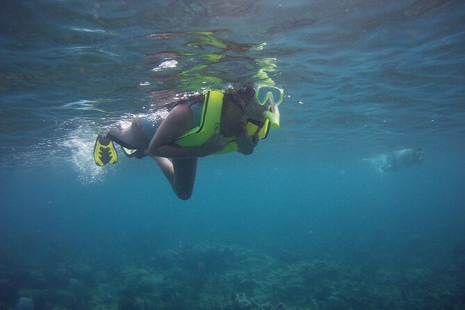 Rincon Snorkeling Adventure - Getting to the reef without a boat