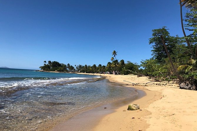 Rincon Snorkeling Adventure - About one hour exploring Tres Palmas Marine Reserve
