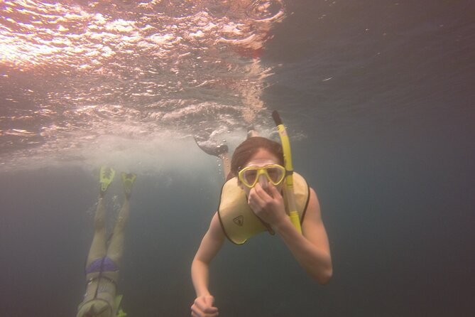 Rincon Snorkeling Adventure - Is $59 a good value?