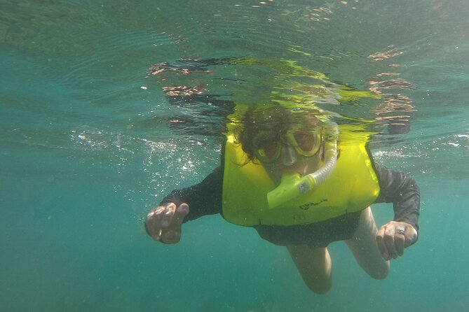 Rincon Snorkeling Adventure - Morning or afternoon?