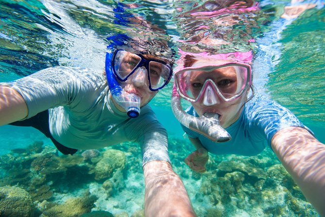 Rincon Snorkeling Adventure - The gear fitting and fish briefing
