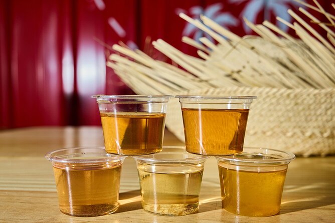 Rum Tasting: History, Tradition, Burgers and Mojitos! - Small-group energy at Rustic Vibes Experience