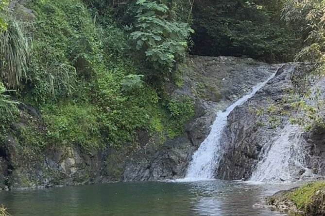 Salto de Pilar Cliff Jumping Tour - The 8:00 a.m. pickup from San Juan