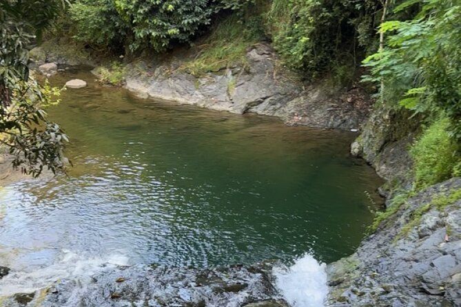 Salto de Pilar Cliff Jumping Tour - The moderate forest trail to the pool