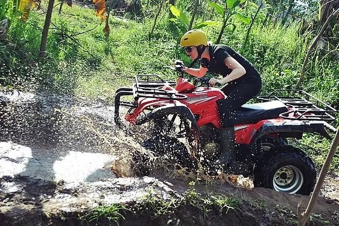 San Juan 2-hour ATV / Minutes away from most Hotels in the area - Wildlife sightings are a welcome bonus