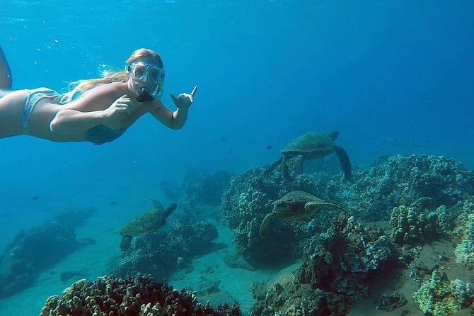 San Juan Guided Snorkel With Turtles Tour and Videos - Key points to know before you book