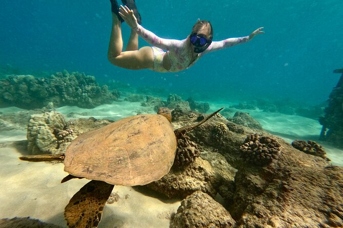 San Juan Guided Snorkel With Turtles Tour and Videos - What the $42.30 price really gets you