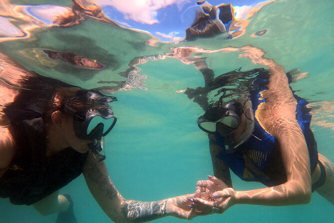 Snorkellers over a green turtle in clear water off San Juan