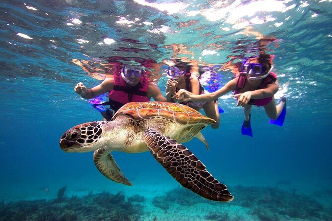 San Juan Guided Snorkeling Experience - With Transport 8am or 3pm - What this San Juan snorkeling trip actually is