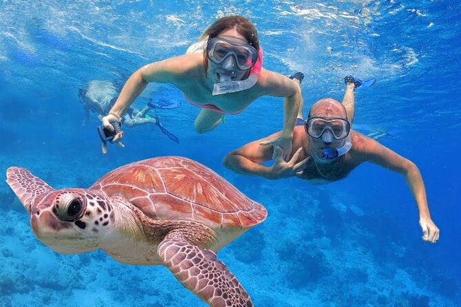 San Juan Guided Snorkeling Experience - With Transport 8am or 3pm - What to expect from the public beach setting
