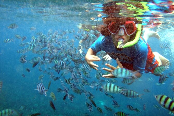 San Juan Guided Snorkeling Experience - With Transport 8am or 3pm - Who will enjoy this most