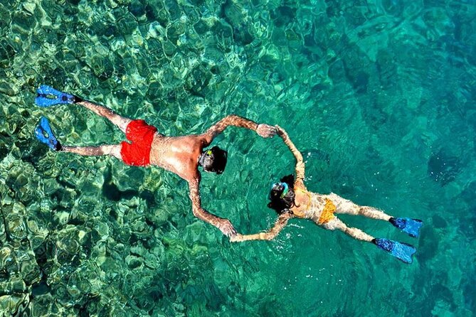 San Juan Guided Snorkeling Experience - With Transport 8am or 3pm - The 90-minute ocean session