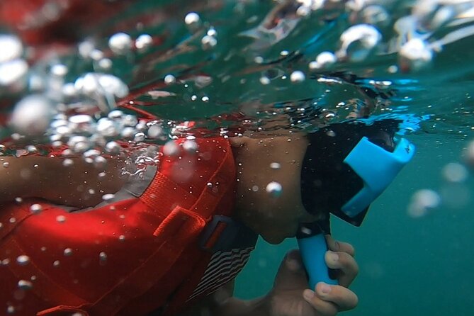 San Juan: Kids and Family Snorkeling Adventure with Videos - A gentle first lesson in shallow water