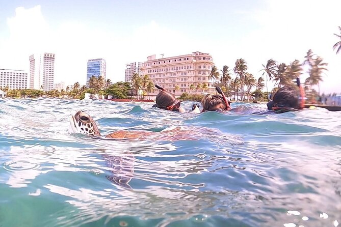 San Juan: Kids and Family Snorkeling Adventure with Videos - The guides make the family difference
