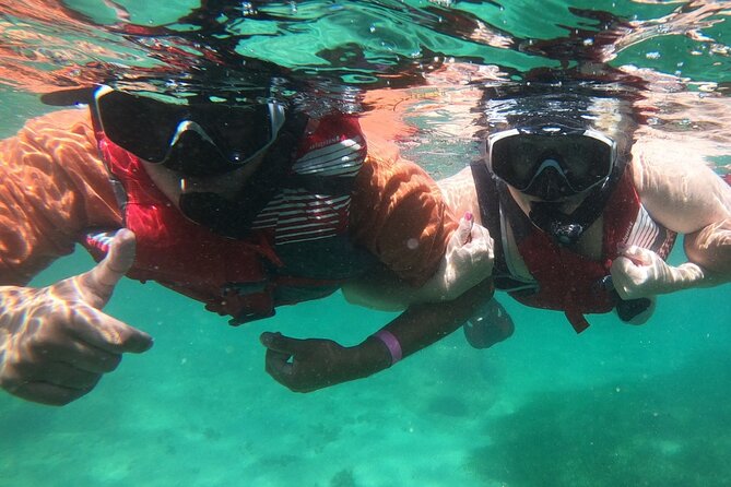 San Juan: Kids and Family Snorkeling Adventure with Videos - Who will get the most from this activity
