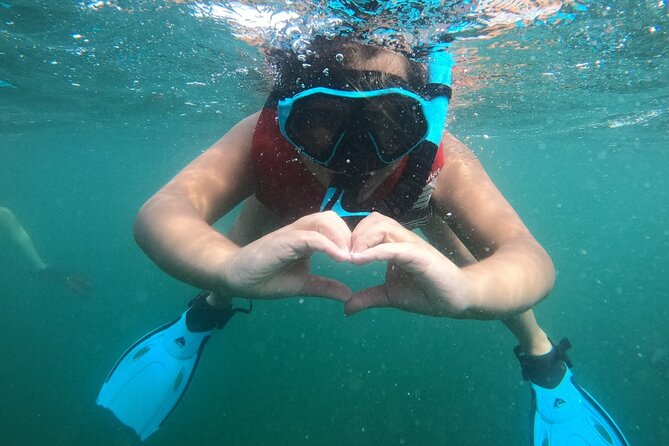 San Juan: Kids and Family Snorkeling Adventure with Videos - Practical preparation for a smoother morning
