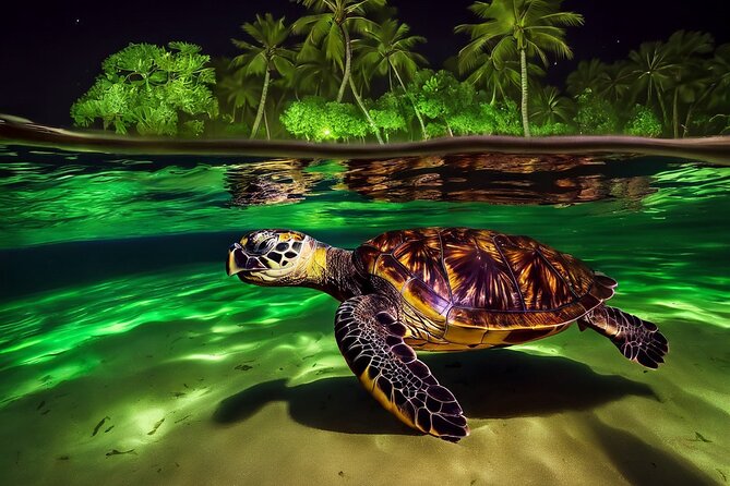 San Juan LED Night Snorkel - Key points at a glance