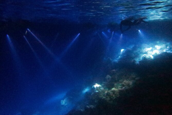 San Juan LED Night Snorkel - Why San Juan’s reef looks different after sunset
