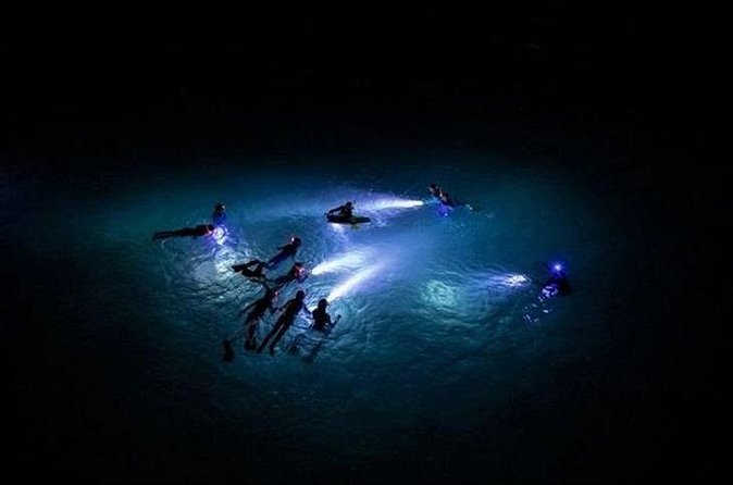 San Juan LED Night Snorkel - Who will enjoy this most