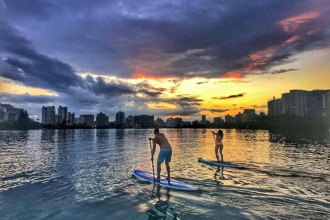 San Juan | Paddleboard | Kayak | Snorkeling | Guided Tours - Looking for Fish and Antillean Manatees