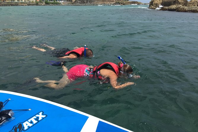 San Juan | Paddleboard | Kayak | Snorkeling | Guided Tours - Is $65 a Fair Price?