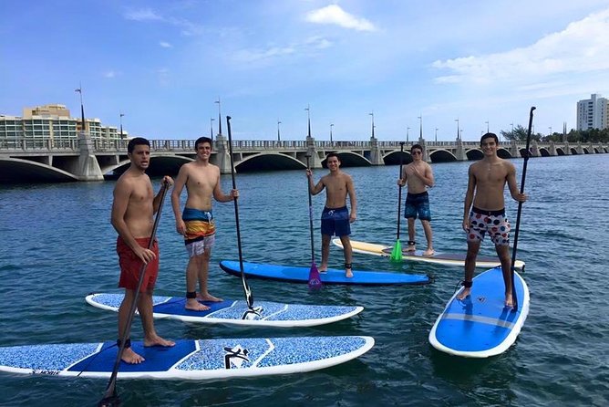 San Juan | Paddleboard | Kayak | Snorkeling | Guided Tours - Paddling Through the San Juan Estuary