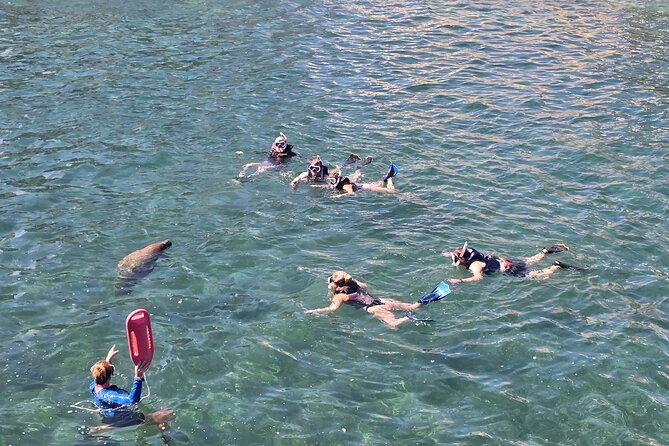 San Juan Snorkel with Turtles and Manatee's; Free Video and Rum! - Entering the water at Playita del Condado