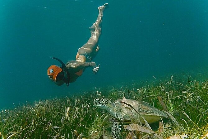 San Juan Snorkel with Turtles and Manatee's; Free Video and Rum! - The guides and group size