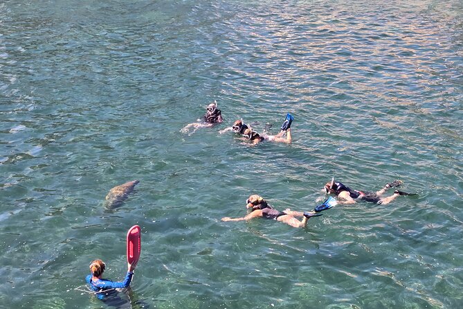 San Juan Snorkel with Turtles and Manatee's; Free Video and Rum! - What the free video is really worth