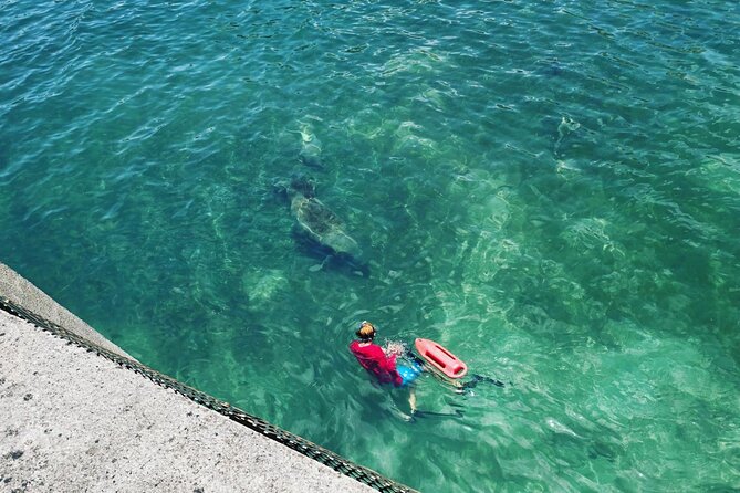 San Juan Snorkel with Turtles and Manatee's; Free Video and Rum! - Who should book this San Juan snorkel
