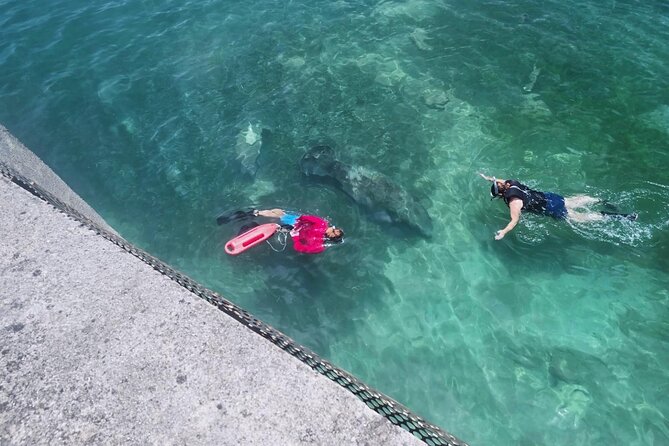 San Juan Snorkel with Turtles and Manatee's; Free Video and Rum! - A 90-minute swim, not a boat excursion