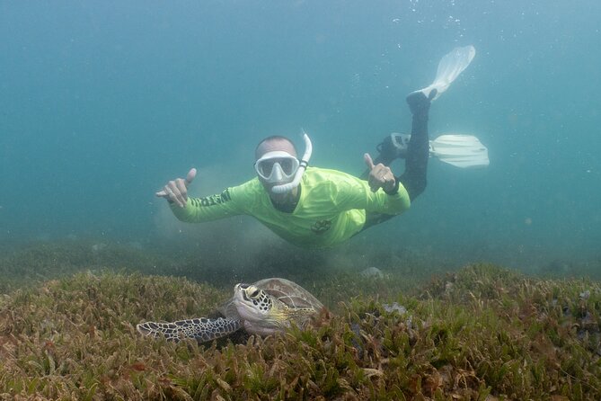 San Juan Snorkeling Tour with Fish and Turtles - Escambrón Bay, snorkeling close to San Juan