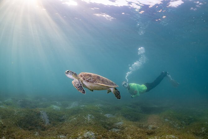 San Juan Snorkeling Tour with Fish and Turtles - Fish Protection Wall and the underwater features