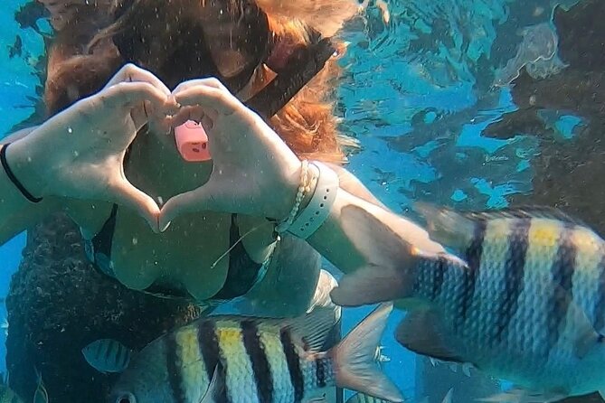 San Juan: Snorkeling with Turtles Adventure and Free Videos - Why the time of day makes a difference