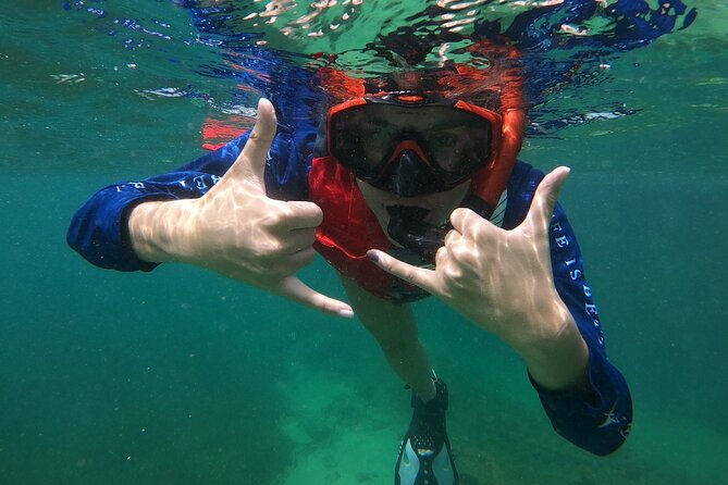 San Juan: Snorkeling with Turtles Adventure and Free Videos - Free videos are useful, but not the whole reason to book