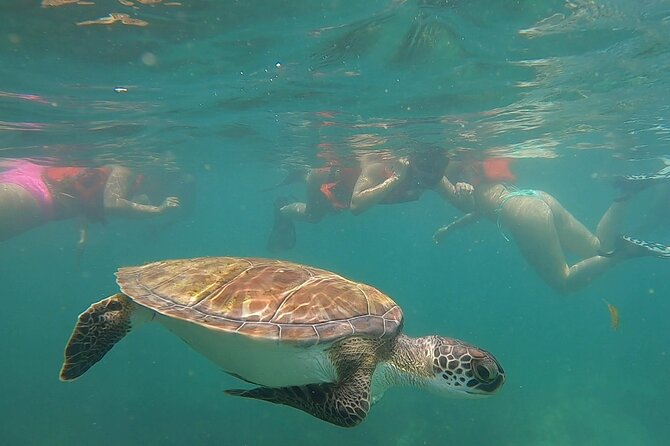 San Juan: Snorkeling with Turtles Adventure and Free Videos - Who should book this shore snorkeling outing